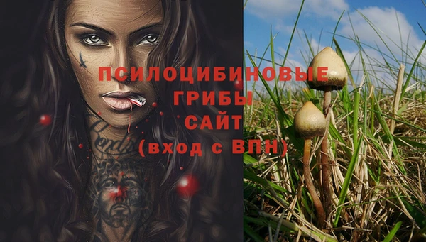 герыч Алексин